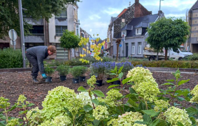 Fontein Dokter Hemerijckxplein is plantenzone