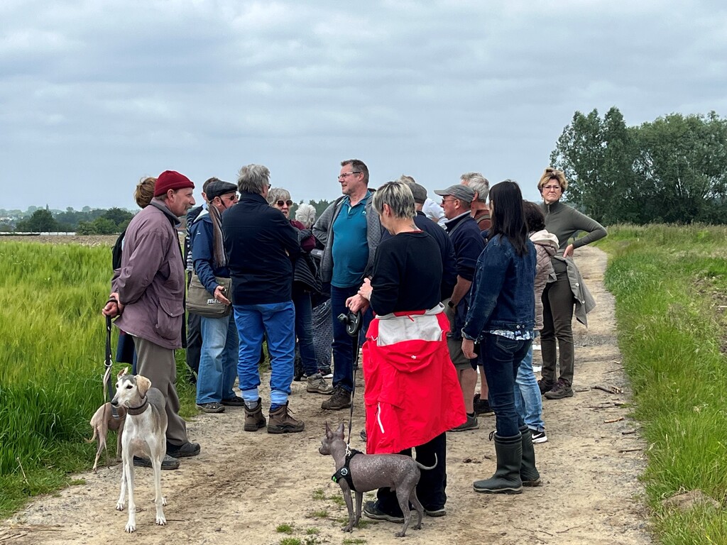 Bunkerwandeling Okegem(7)