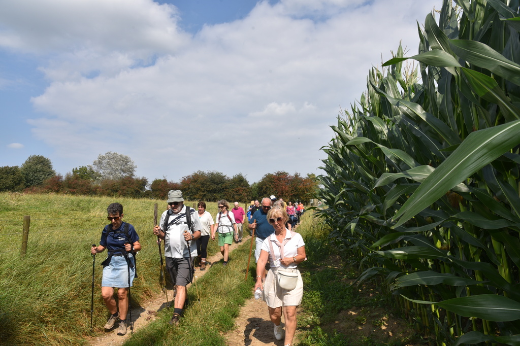 Kermiswandeling Voorde (7)