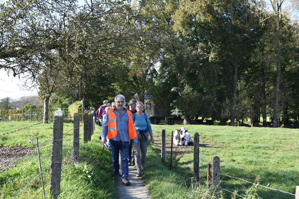 Wandeling Meerbeke met oplossingen Zomrewandelzoektocht 2024 - zondag 6 oktober 2024 (10)