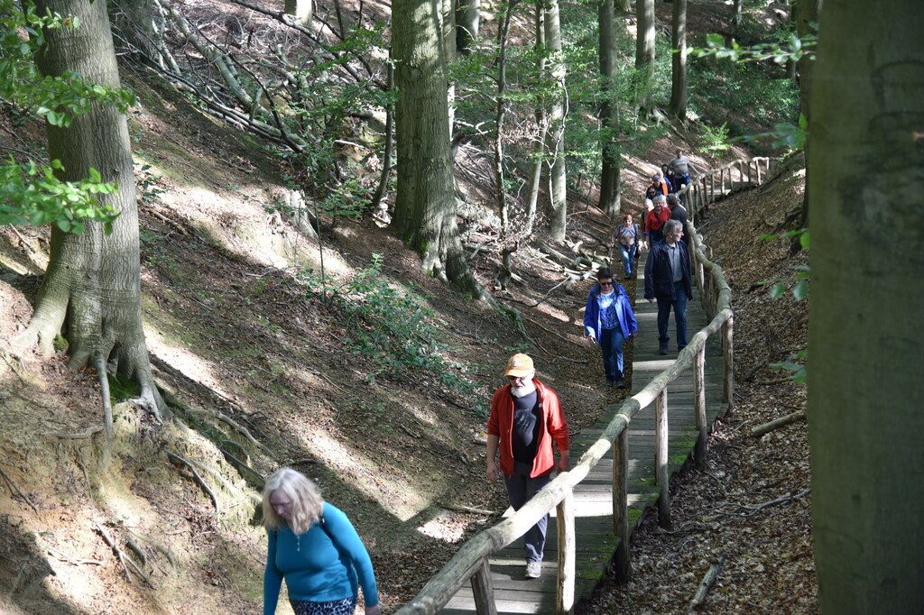 Wandeling Meerbeke met oplossingen Zomrewandelzoektocht 2024 - zondag 6 oktober 2024 (11)