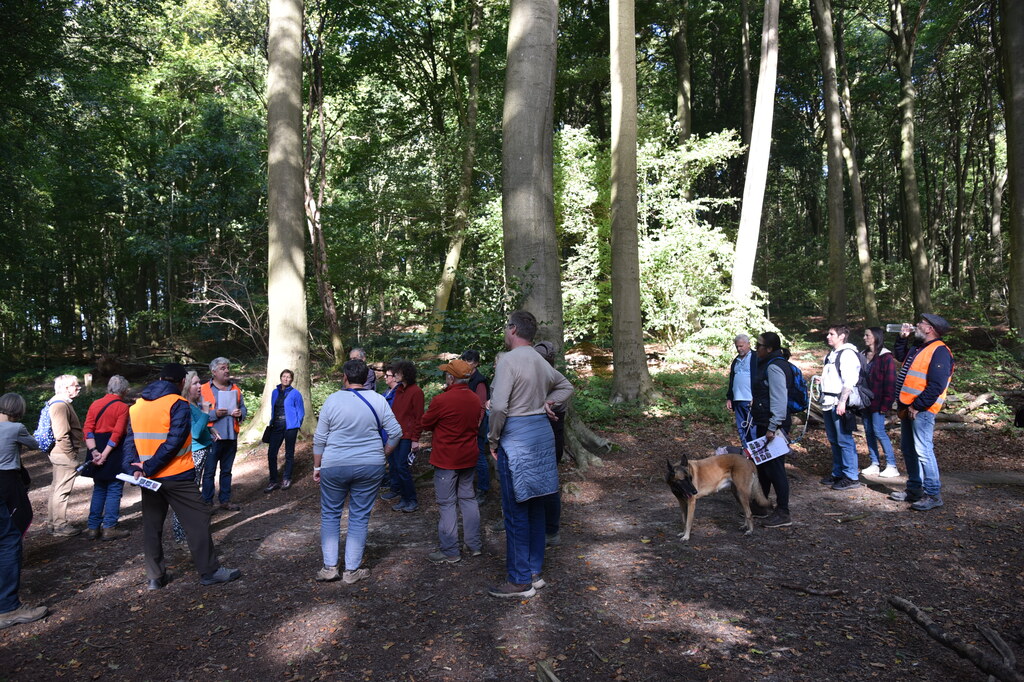 Wandeling Meerbeke met oplossingen Zomrewandelzoektocht 2024 - zondag 6 oktober 2024 (12)