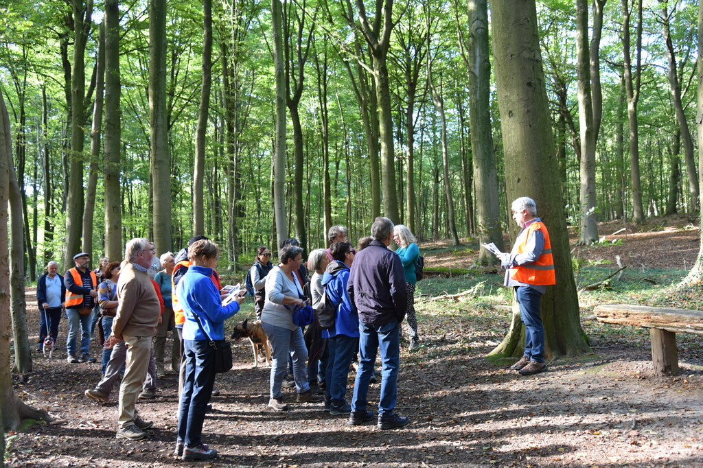 Wandeling Meerbeke met oplossingen Zomrewandelzoektocht 2024 - zondag 6 oktober 2024 (13)