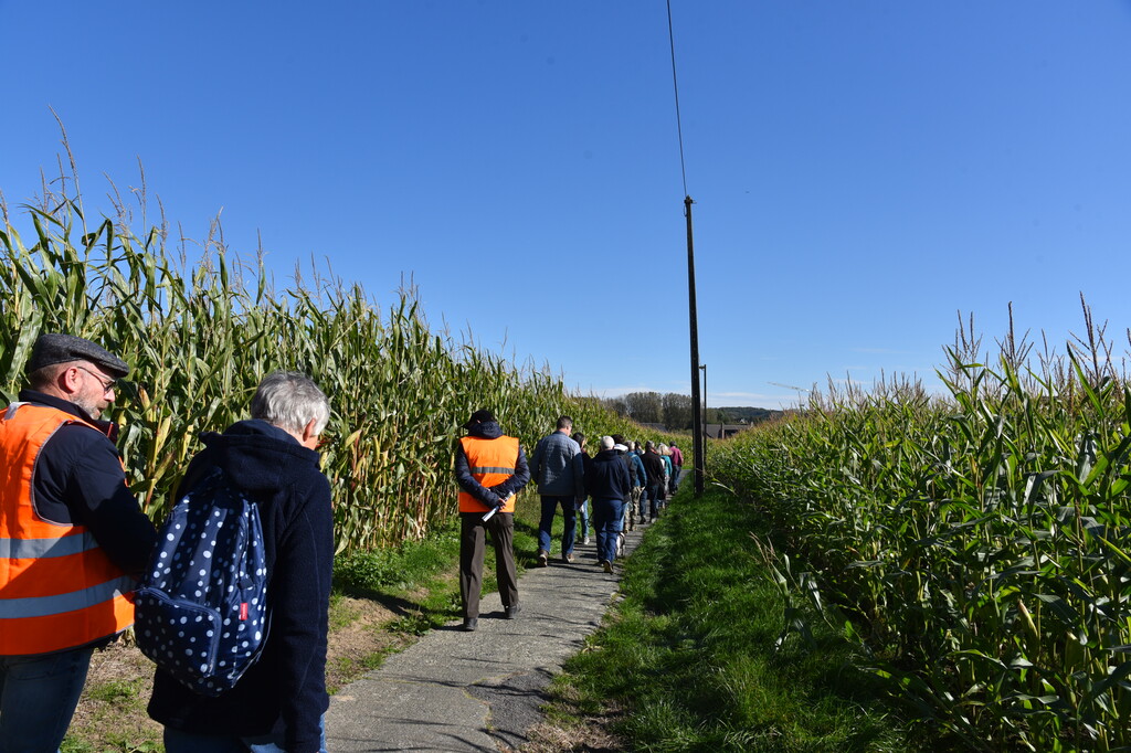 Wandeling Meerbeke met oplossingen Zomrewandelzoektocht 2024 - zondag 6 oktober 2024 (4)