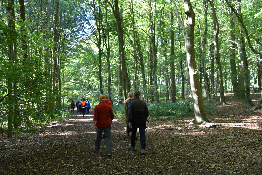 Wandeling Meerbeke met oplossingen Zomrewandelzoektocht 2024 - zondag 6 oktober 2024 (6)