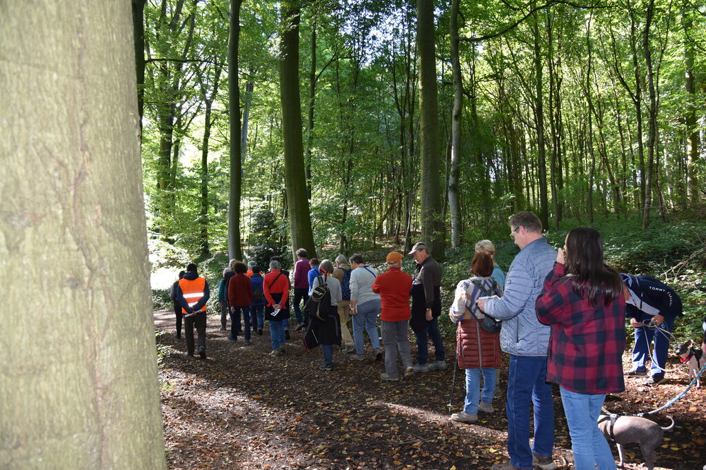 Wandeling Meerbeke met oplossingen Zomrewandelzoektocht 2024 - zondag 6 oktober 2024 (7)