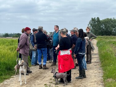 Bunkerwandeling Okegem(7)