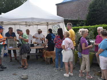 Kermiswandeling Voorde (14)