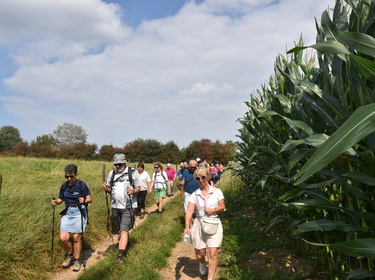 Kermiswandeling Voorde (7)