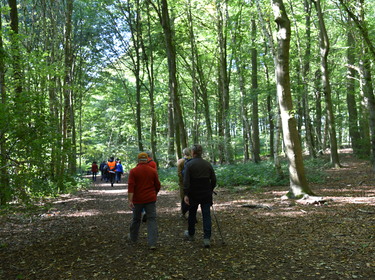 Wandeling Meerbeke met oplossingen Zomrewandelzoektocht 2024 - zondag 6 oktober 2024 (6)